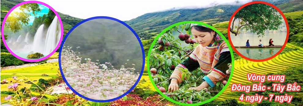 vòng cung đông tây bắc
