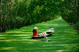 Hà Nội / Sài Gòn - Hà Tiên - Cần Thơ  4-5 ngày